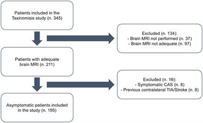 Silent brain ischemia within the TAXINOMISIS framework: association with clinical and advanced ultrasound metrics